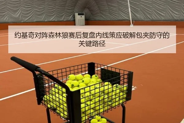 约基奇对阵森林狼赛后复盘内线策应破解包夹防守的关键路径