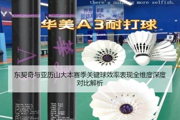 东契奇与亚历山大本赛季关键球效率表现全维度深度对比解析